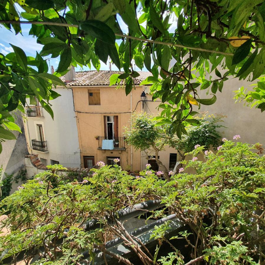 Maison Capucine Mèze المظهر الخارجي الصورة